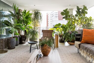 Como inserir plantas na decoração
