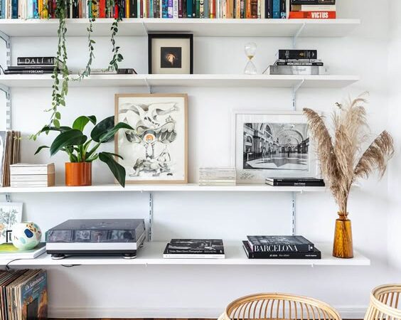 Como organizar livros