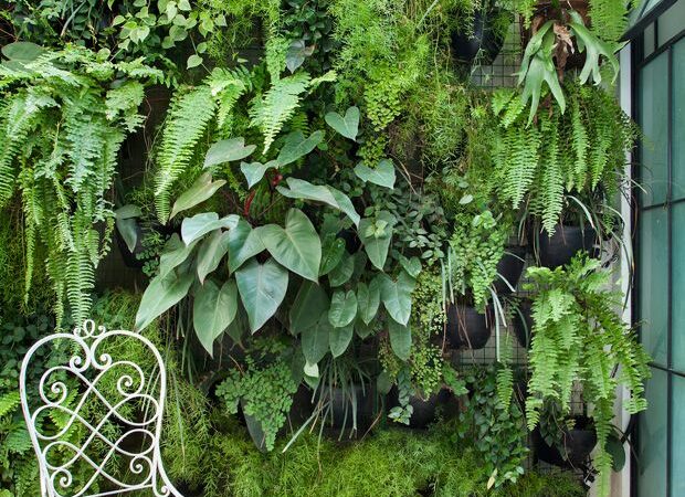 Como Montar um Jardim Vertical