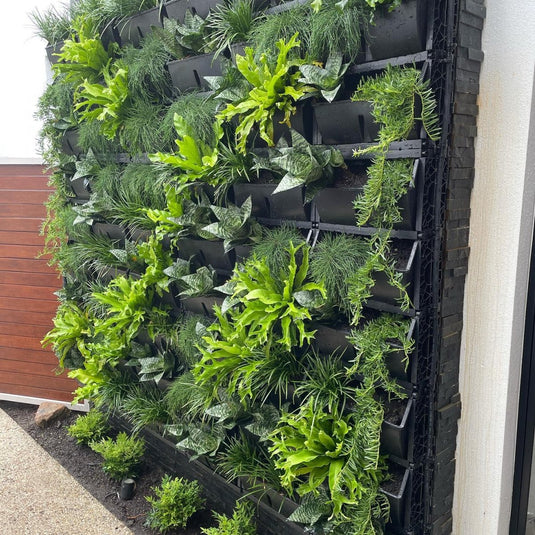 JARDIM VERTICAL