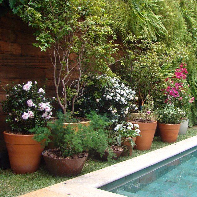 COMPOSIÇÃO DE VASOS PARA ÁREA DA PISCINA