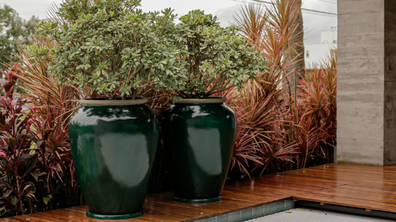 Paisagismo com Vasos